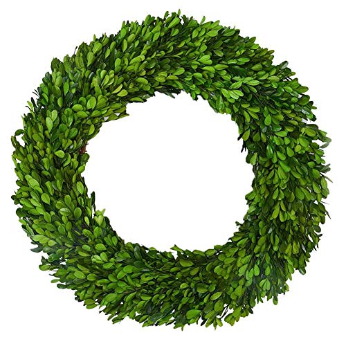 Boxwood Wreath X-Large 22 Inch Preserved Natural Green Home Decor Stay Fresh
