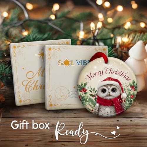 Owl Christmas Ornament 2025 ? Adorable Animal Christmas Tree Decoration, Holiday Keepsake Gift for Kids, Festive Owl Xmas Tree Decor, Winter Gift Ideas for Animal Lovers, Friends and Family