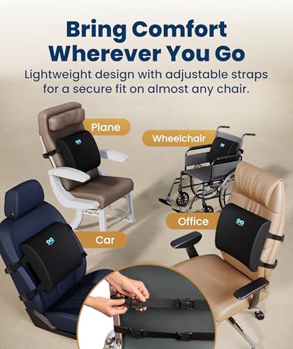 Everlasting Comfort Lumbar Support Pillow for Office Car or Couch - Black Mesh