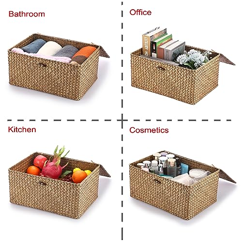 Hipiwe Wicker Shelf Baskets Bin with Lid Woven Storage Box, Coffee