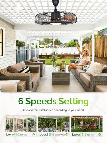 Orison 24-Inch Outdoor Ceiling Fan with Lights, Remote & App Control, Weatherproof Gazebo Fan - Regular
