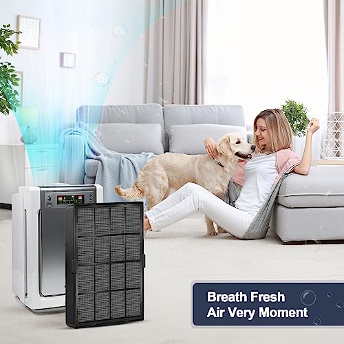 Horyliin Washable HEPA Replacement Filter B for Winix Air Purifiers - Black