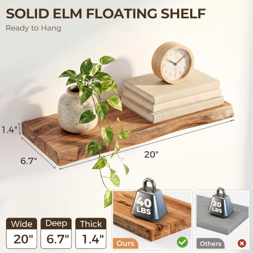 Live Edge Elm Floating Shelves - Rustic Wall Mounted Storage Set of 2