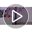 6FT Halloween Lighted Black Birch Tree with Purple & Orange LED Lights, Waterproof Indoor Outdoor Spooky Tree with Timer