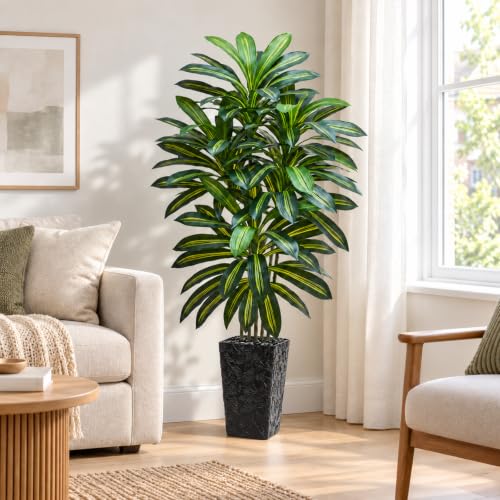 Artificial Dracaena Tree 6FT with Black Planter - Indoor Faux Plant, Realistic Tall Decorative Tree Variation of Green-Black Pot