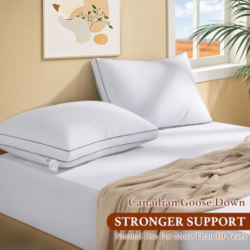 Queen Size Canadian Goose Down Pillow Set of 2 - Premium Luxury Bedding