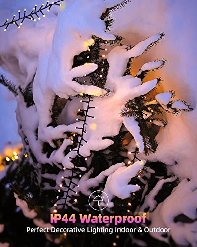 Quntis Warm White 760 LED Firecrackers Christmas Tree Lights, 25ft Black Wire, 8 Modes, IP44 Waterproof