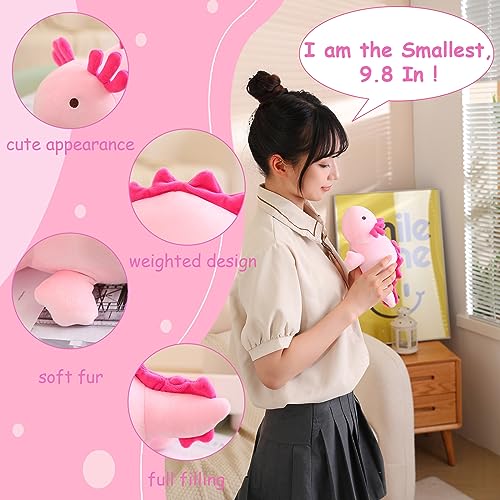 SQEQE Weighted Axolotl Plush Toy, Pink Axolotl Stuffed Animals Cute Plush Pillow, Cute Weighted Stuffed Animals Gifts for Girls & Boys Pink 9.8 Inch, 0.8 Lbs