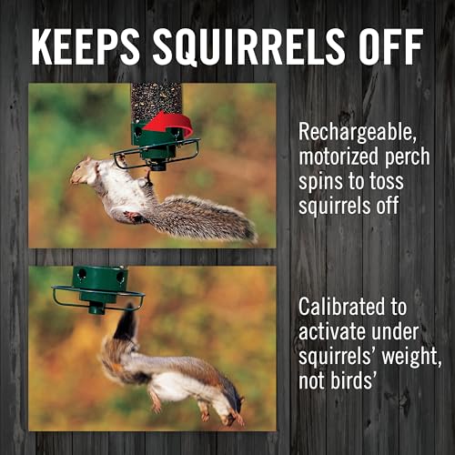 Squirrel Proof Bird Feeder 5lb Capacity - Weatherproof Outdoor Bird Feed Station