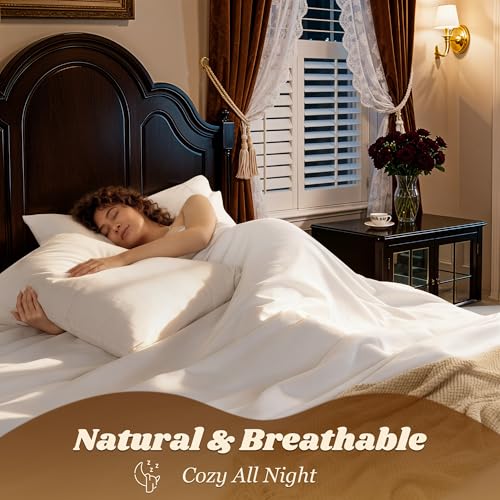 Egyptian Cotton Queen Bed Sheet Set - 1000 TC Deep Pocket 16" - White