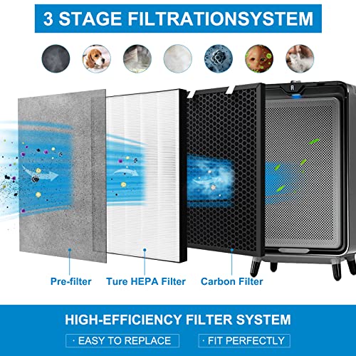 XY100T 2 HEPA + 2 Carbon Filter Replacement for Bissell Air220 & Air320 - Compatible Filters
