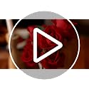 Artificial Roses Bulk 50 White Silk Flowers for DIY Decor - Long Stems