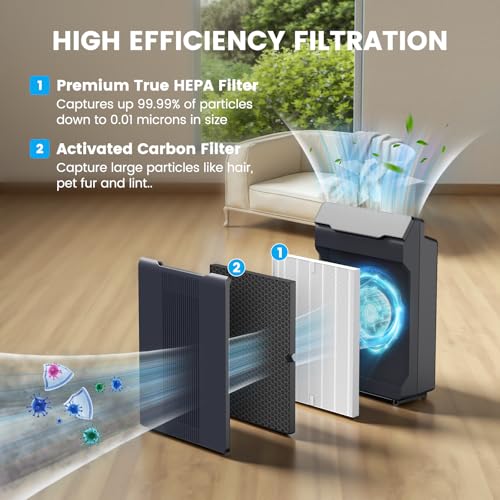 Smilyan 2-Pack HEPA & Carbon Filter Replacement for Winix 5500-2 & AM80 Air Purifiers, Model 116130