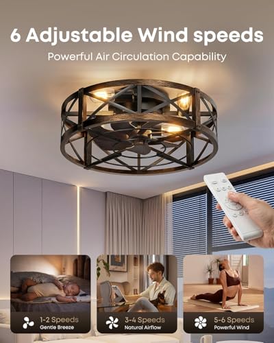 20-Inch Low Profile Caged Ceiling Fan with Light & Remote - Black & Gold