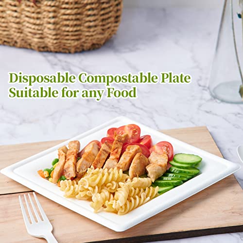 ECOLipak 150 Piecs Compostable Square Paper Plates, 10 inch, White