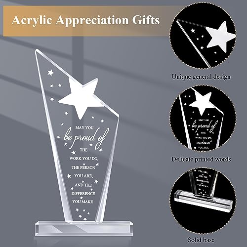 Stylish Bucherry 10 Pcs Employee Appreciation Acrylic Trophies - Thank You Awards