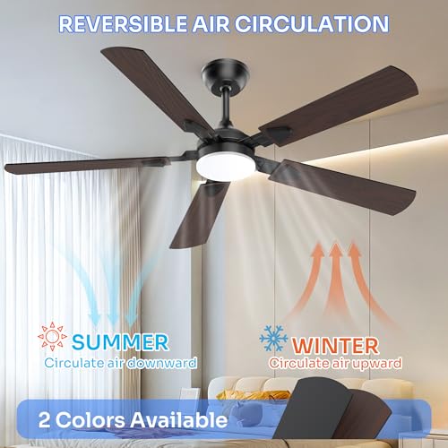 Crazypai Black 52-Inch Modern Ceiling Fan with Lights and Reversible Blades