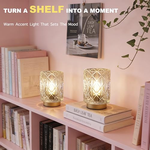 ULAROOM 2 Pack Cordless Battery Operated Table Lamps with Timer, Warm White Glass Shade for Bedroom & Decor (Grid-Clear)