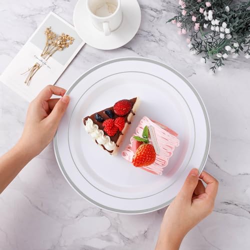 100PCS Silver Plastic Plates, Disposable Party Plates