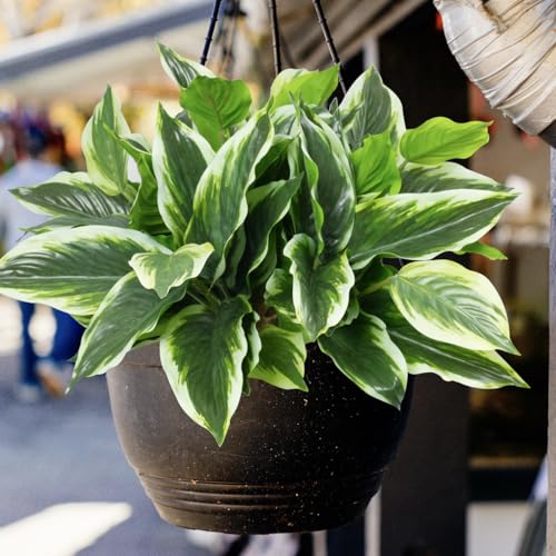 Green 12-Pack Artificial Hostas for Outdoor Planters - Realistic Faux Plants