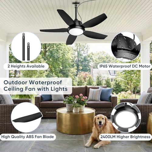 PARTPHONER Black 42 Inch Outdoor Ceiling Fan with Lights, Waterproof, APP & Remote Control