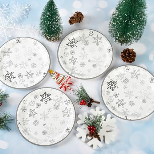 AimFun 48 Pcs Grey Snowflake 7-Inch Dessert Plates - Disposable Christmas Party Tableware