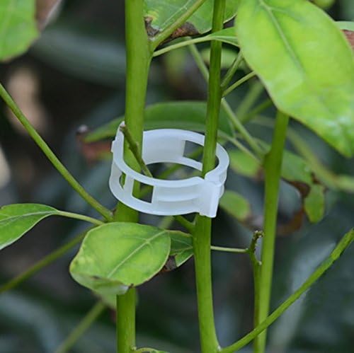 Skiennix Plant Support Clips - 100PCS Garden Clips for Tomatoes, Vines & Twine - Durable Fastening Tools