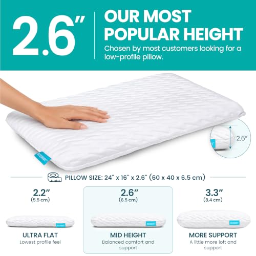 BLISSBURY White 2.6-Inch Flat Memory Foam Stomach Sleeper Pillow Queen