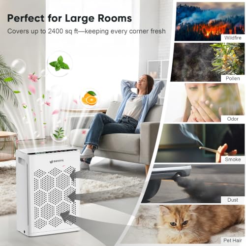 DAYETTE White Large Room Air Purifier with HEPA 14 Filter & Aromatherapy