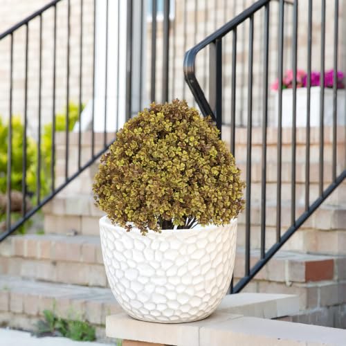 24-Inch Artificial Boxwood Fall Topiary Trees Set of 2 - Olive Green