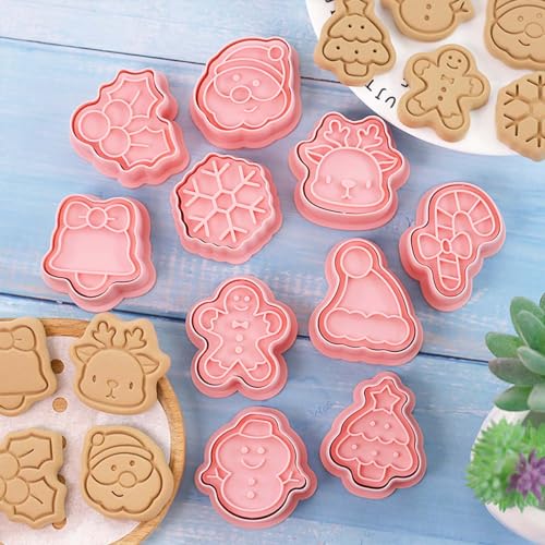 Lutoku 10 Piece Mini Christmas Cookie Cutters with 3D Stamps