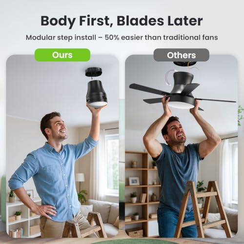 Vemaller 42'' Black Ceiling Fan with Lights & Remote - Easy Assembly, Reversible Blades