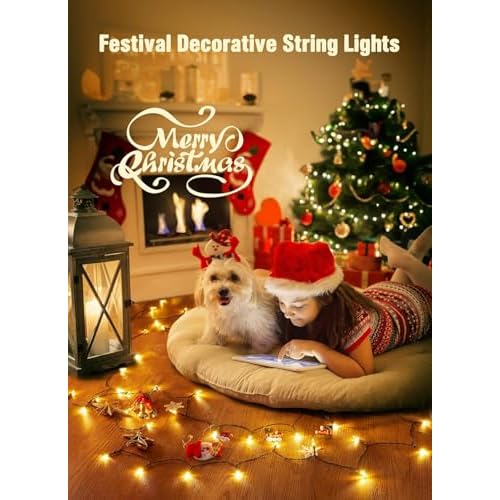 Battery Operated Christmas String Lights, 8ft 20 LED Mini Lights with Timer, Christmas Tree Lights for Indoor Outdoor Bedroom Wedding Party Holiday Xmas Decoration£¬Warm White