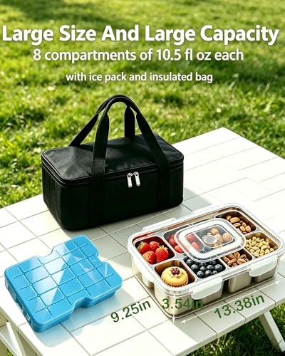Stainless Steel Snackle Box with Ice Pack - 8-Compartment Large Travel Snack Tray, Silver White