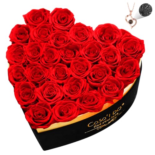 Preserved Roses Flowers for Delivery 27 Pcs, Mothers Day Rose Gifts
