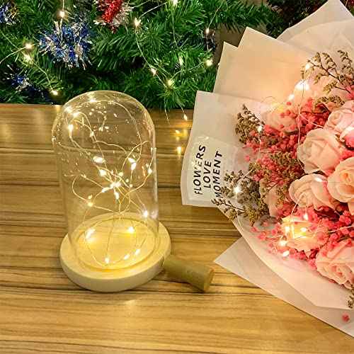 10 Pack Wine Bottle Lights with Cork, 20 LEDs, 6.6 Ft, Fairy Mini String Lights for DIY Jar Halloween, Christmas, Party Decoration, Wedding Listing (10 Pack, Warm White)