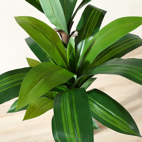 OAKRED 6ft Artificial Dracaena Tree with White Planter – Realistic Faux Indoor Plant for Home & Office Decor