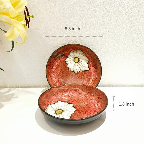 Ceramic Pasta Bowl Set of 4 - 8.5 Inch Deep Plates with Colorful Variations