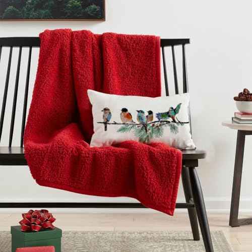 RABUSOFA Christmas Outdoor Pillow Covers Waterproof 12x20 Inch Birds Christmas Winter Decorations Lumbar Throw Pillow Cases Xmas Birds Decor Decorative Pillows for Couch Holiday Teal