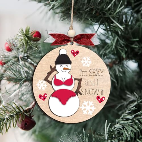 Funny Holiday Ornament 2025 ? Wooden Christmas Tree Decoration for Adults - Exchange Funny Ornaments for Adults - Naughty Ugly Christmas Tree Hanging - Unique Christmas Ornaments