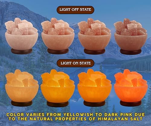 Himalayan Salt Lamp Bowl with Crystal Chunks & Wooden Base - Relaxing Amber Glow