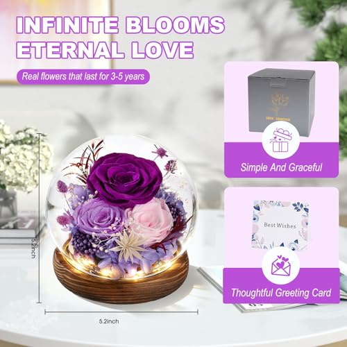 FIACO Preserved Purple Rose in Glass Dome - Eternal Flower Gift for Mom Women Wife