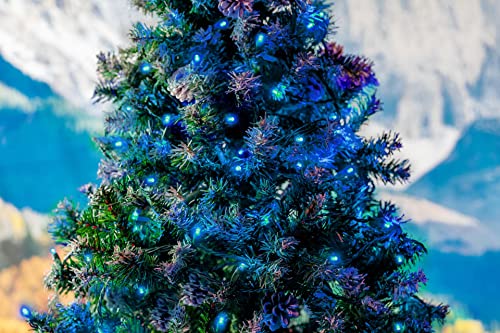 Novelty Lights Teal 25ft LED Christmas String Lights, 50 LEDs, IP55, UL Listed, Dimmable, Connectable, Green Wire