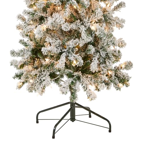 6ft Pre-Lit Flocked Acacia Artificial Christmas Tree - National Tree Company