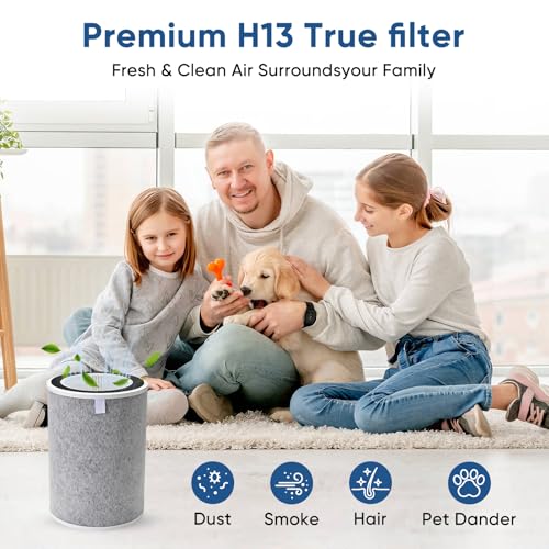2 Pack HEPA Air Purifier Filters for Shark HP201 HP202 HP232 Series Max Air Cleaners