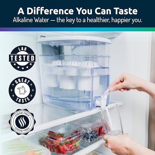 Alkaline Water Dispenser 53-Cup Large Capacity with 3 Filters - Black