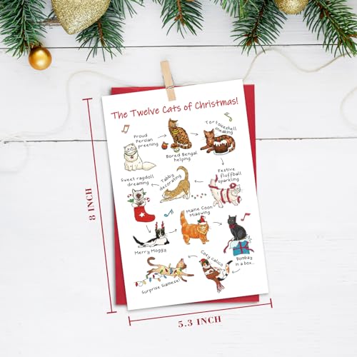 Ogeby Twelve Cats Christmas Card with Envelopes, Funny Holiday Gift for Cat Lovers, Multi-Color