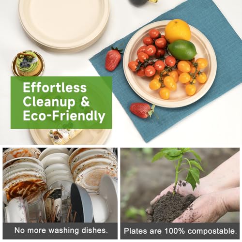 RACETOP Compostable Paper Plates 10 Inch - Brown, 500 Pack