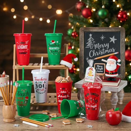 Vesici 24pcs Christmas Teacher Appreciation Gift Cups Set with Straws & Lids