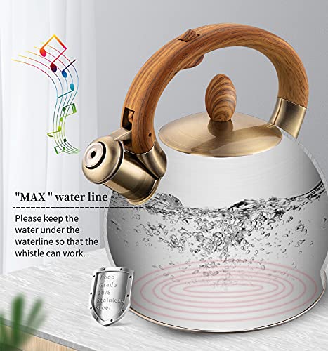 Black 2.64 Quart Stovetop Whistling Tea Kettle - Food-Grade Stainless Steel